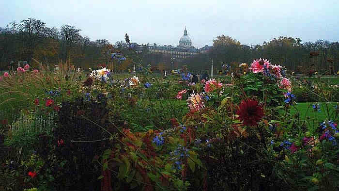 Floraison d'automne  jardin du Luxembourg &agrave; Paris