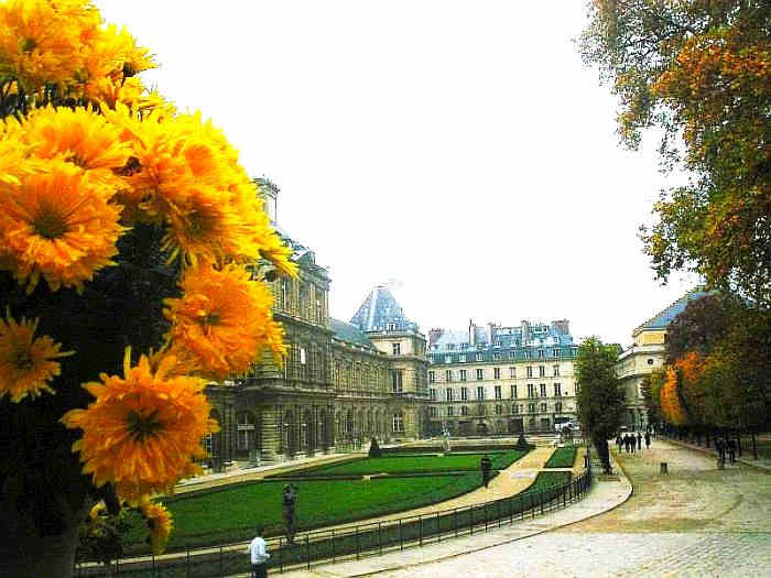 Le S&eacute;nat &agrave; Paris